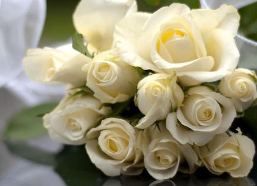 Miksi haaveilla valkoisista ruusuista?