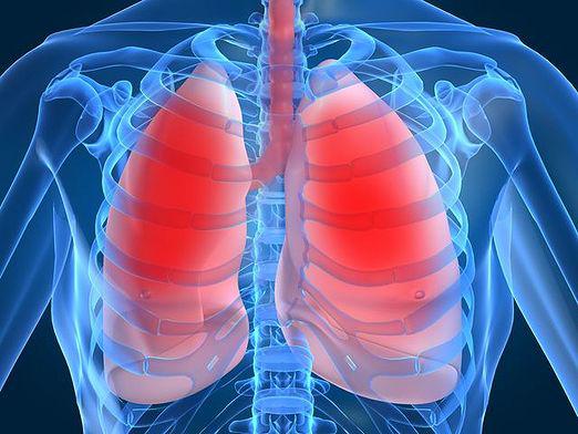 Kuinka keuhkot näyttävät?